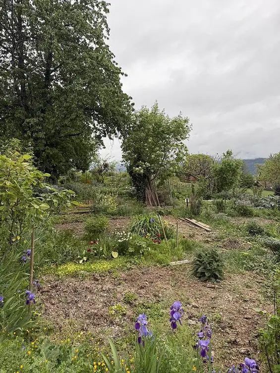 Ce dimanche matin, nous étions présents au Troc des plantes à Meylan, organisé par l’Union de quartier du Haut-Meylan.