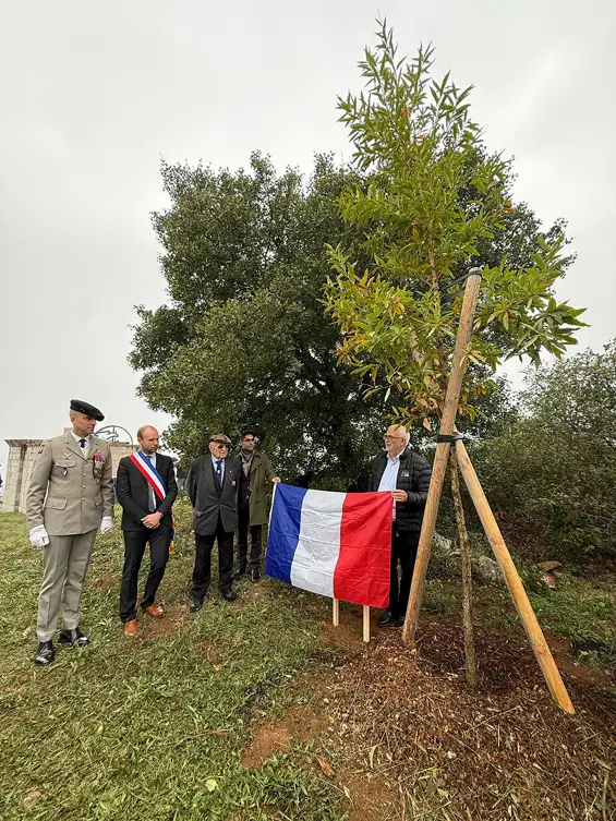 Un chêne pour la mémoire, un geste pour l’avenir à l'occasion du 80e anniversaire de la Libération.