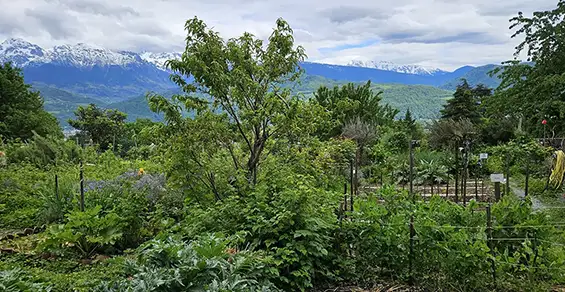 Jardins familiaux du clos des capucins