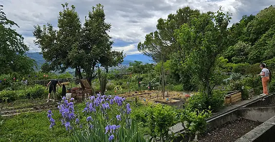 Jardins familiaux du clos des capucins