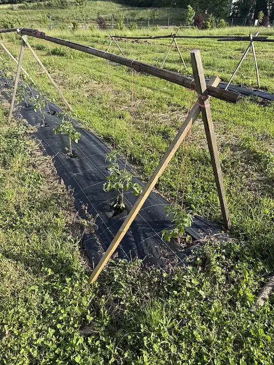 Inauguration des Jardins de l'Arist à Eybens