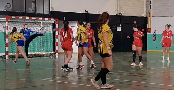 L’ailière Gaiuche de Meylan vient d’armer un tir rapide en extension, défiant la gardienne de Rumilly, qui tente une parade spectaculaire avec une jambe tendue. Une belle illustration d’un affrontement sportif où précision, vitesse et stratégie se combinent avec intensité.