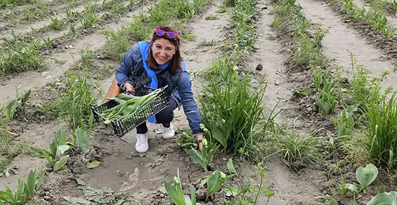 100000 tulipes pour les enfants atteints de maladie