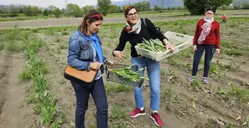 100000 tulipes pour les enfants atteints de maladie