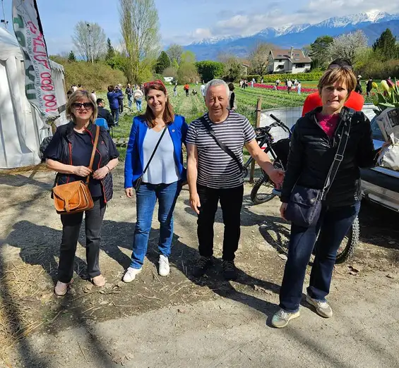 100 000 tulipes pour les enfants atteints de la maladie du Cancer, édition 2025 organisé par le Lions Club Grenoble Porte de France