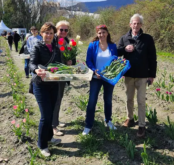 100 000 tulipes pour les enfants atteints de la maladie du Cancer, édition 2025 organisé par le Lions Club Grenoble Porte de France