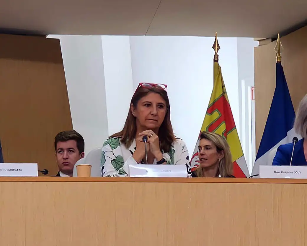 La vice-présidente de la Région Sandrine Chaix, pendant la séance plénière à Lyon. Photo Le DL /Ève Moulinier
